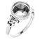 Palladium9 mm Round Ring Mounting