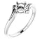 Platinum4.8 mm Round Ring Mounting